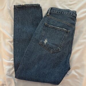 Agolde Riley High-Rise Straight Jeans